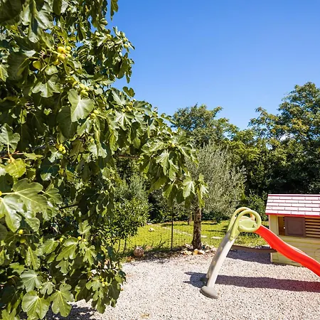 Villa Pafran With Heated Pool Krk *